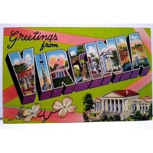Greetings From Virginia Large Big Letter Linen Postcard Buildings Flowers Unused